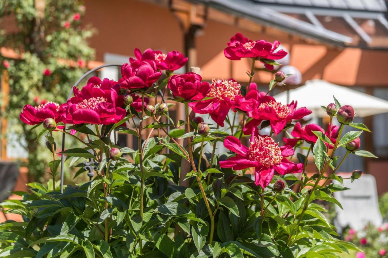 Fewo Im Gaestehaus Maximilian Eggelsberg エクステリア 写真